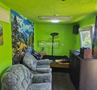 A room with green walls, sofas, a bed, and decorations. A floor with a wooden design.