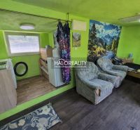 An interior with green walls, armchairs, a kitchen unit, and a wooden decor floor.
