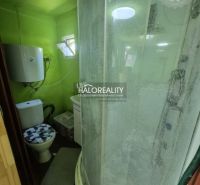 A small bathroom in the Gardens with a toilet, shower, and green walls.