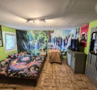 A room with green walls, colorful decorations, and a television on the floor in the Gardens.