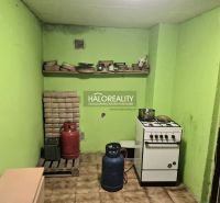 A kitchen with a stove, two propane-butane bottles, and green walls, Gardens.