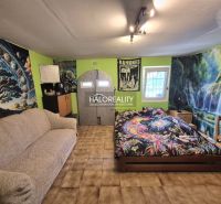 A room with a sofa, bed, striking wall decorations, and a wooden-patterned floor in the Gardens.
