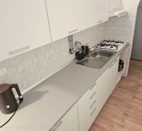 A kitchen in a studio apartment with a wood-patterned floor and a gas stove.