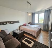A cozy room in a one-bedroom apartment with a comfortable couch and a wooden decor floor.