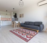 Living room with kitchen, gray sofa, wooden decor flooring, colorful carpet, dining table.