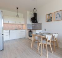 A kitchen in a 2-room apartment with a wooden decor floor and wall paintings.