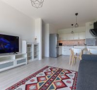Living room with a TV, sofa, kitchen, and decorative carpet in a 2-room apartment.