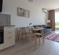 Kitchen and living room in a 2-room apartment with a dining table, sofa, and balcony.