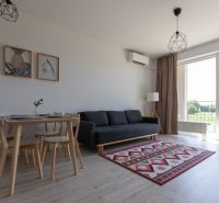 Living room in a two-room apartment with a sofa, dining table, and wooden decor flooring.