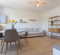 Living room in a two-room apartment with a wooden decor floor and a dining table.