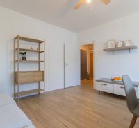 Living room with wood-patterned flooring, shelves, and a chair in a two-room apartment.