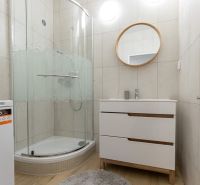 A bathroom in a 2-room apartment with a round mirror, a shower corner, and a floor with a wooden decor.