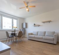 Living room in a two-room apartment with a wooden decor floor, dining table, and sofa.
