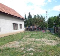 A family house in Strekov with a yard and garden. Surroundings with a fence and vegetation.