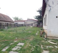 A garden at a family house in Strekov with a bicycle and an older fence.