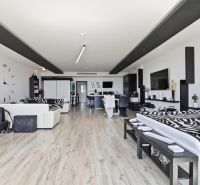 A spacious living room in a 2-room apartment with a wooden decor floor and a zebra motif.
