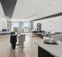 Living room in a two-room apartment with zebra patterns and a wooden decor floor.