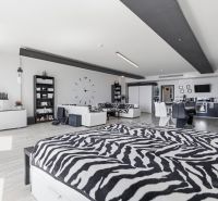 Spacious interior of a 2-room apartment with a wooden decor floor and zebra pattern.