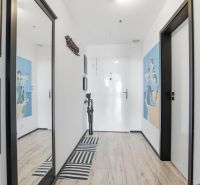 The entrance hall of a 2-room apartment with a wooden decor floor, a mirror, and art on the walls.