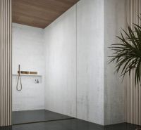 A minimalist bathroom in a villa with a wooden ceiling and a plant.
