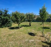 A garden at a family house in Demandice with a lawn and several trees.