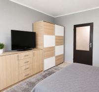 A room in a family house with a wooden decor floor, a TV, and a plant.