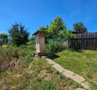 A garden at a family house in Demandice with fruit trees and natural vegetation.