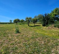 A garden at a family house in Demandice with fruit trees and a lawn.