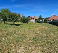 A garden with a lawn and trees around a family house in Demandice.
