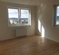 A room in a one-bedroom apartment with a wood-patterned floor and large windows.