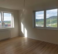 A bright empty room with wood-patterned flooring and large windows in a studio apartment.