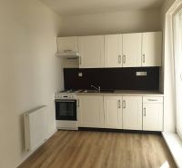A kitchen in a studio apartment with a wood-patterned floor and white cabinets.