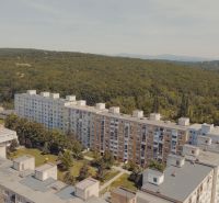 The housing estate on Chinese Street in Košice-Ťahanovce surrounded by forests, captured from above.