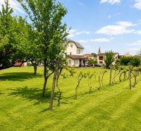 A family house in Sebechleby surrounded by a garden with fruit trees and vineyards.