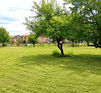 A garden of a family house in Sebechleby with trees and mowed lawn.
