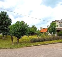 A family house in Sebechleby with well-maintained greenery, asphalt road, surrounding trees.