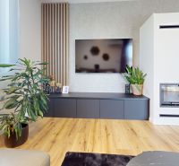 Living room in a 3-room apartment with a wood-patterned floor, a fireplace, and a television.
