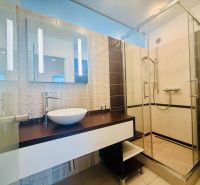 A bathroom in a 3-room apartment with a sink and a shower.