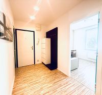 A hallway in a 3-room apartment with a wooden decor floor and a coat rack wall.
