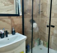 Bathroom in a 2-room apartment with a shower and a sink, tiled with wood decor.