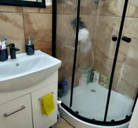Bathroom in a 2-room apartment with a sink, shower, and washing machine.