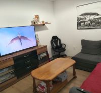 Living room in a 2-room apartment with a wooden decor floor, television, and sofa.