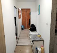 A narrow hallway in a 2-room apartment with a wooden decor floor and white walls.