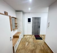 Entrance hall in a 2-room apartment with wood-patterned flooring, a mirror, and a shoe cabinet.