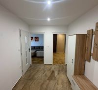 Entrance hall in a 2-room apartment with a wooden decor floor and wall hooks.