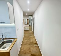 A narrow hallway in a 2-room apartment with a kitchenette and a wooden decor floor.