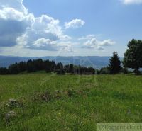 A flowering meadow in the gardens in Hriňová with panoramic views of the hills.