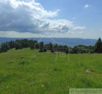 A green meadow and forests in Záhrady near Hriňová under a blue sky.