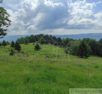 Green meadows and trees in the Gardens near Hriňová, under a blue cloudy sky.