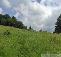 Green meadow and forests in the Gardens of Hriňová under a sky with clouds.